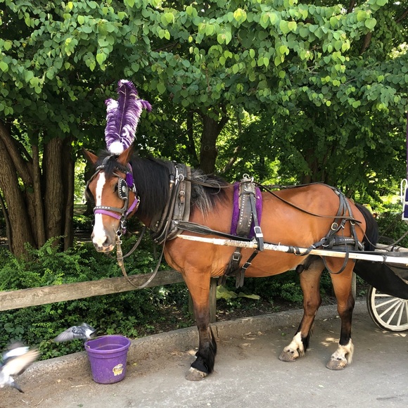 Meet your Posher, Marie - Picture 1 of 1